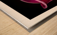 044A3630 Wood print