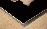 044A3754 Wood print