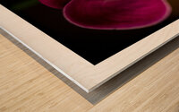044A3611 Wood print