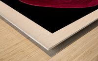 044A3646 Wood print