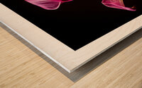 044A3661 Wood print