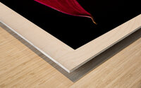 044A3616 Wood print