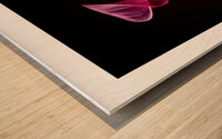 044A3663 Wood print