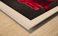 044A3906 Wood print