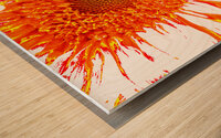 Abstract Orange Sunflower Wood print