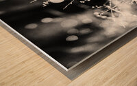 Black and White Nature Bokeh                                                                                                                   Wood print