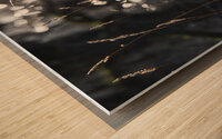 Tranquil Bokeh in the Scottish Highlands                                                                                                                      Wood print