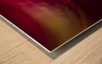 044A4111 Wood print