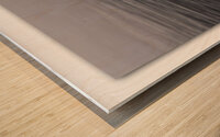 Mistery of the Ringneck Duck Wood print