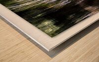 Abstract Reflections Wood print