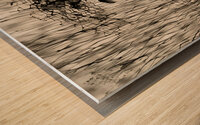ArtX 520 Rock with tree boat Wood print
