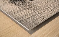 ArtX 14 Rock with tree boat Wood print
