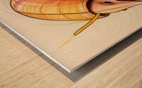 Default A cartoon armadillo curled up in a ball w Wood print