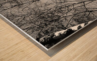  Scottish Highlands Monochrome Trees                                                                                                                    Wood print