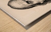 ArtX 26 benjamin franklin Wood print