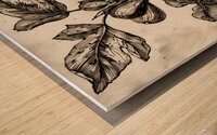 ArtX 528 common fig Wood print
