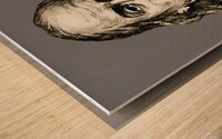 ArtX 526 benjamin franklin Wood print