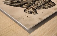 ArtX 529 eagle Wood print