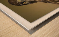 Stare Down Wood print