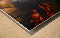 Golden rays Wood print