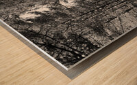 Scottish Highlands Forest Path in Black and White Wood print