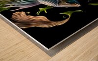 Amazing fish Wood print