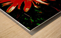 Abstract Red Daisy Wood print