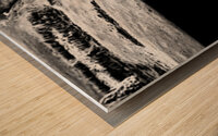 Solitary Sentinel Wood print