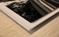 The Daily in Swizterland Wood print