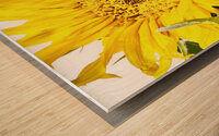 Artistic Flower Wood print