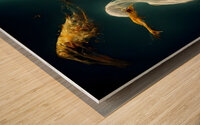 Shine   Wood print