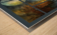 3 PHASE FULL MOON Wood print
