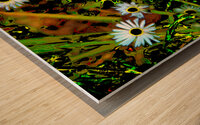  Abstract Daises                                                                                                                      Wood print