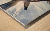 Ragnar Wood print