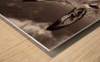 Welcome to Oatman Wood print