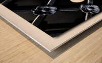 Protecting the Fragile Wood print