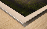 Grassland Reflection Wood print
