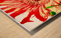 Orange Abstract Sunflower Wood print