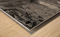 The Stillness of Nature: Gosling and Water Ripples  Wood print