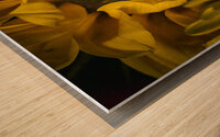 The Sunflower Wood print
