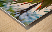 Agave Wood print