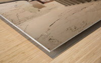 IMG 3404 Wood print