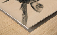 IMG 3042 Wood print