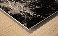 Scottish Highlands Dark Forest Wood print