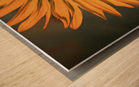 Close up Sunflower Wood print