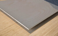 IMG 3372 Wood print