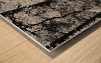 Pines in Monochrome Wood print