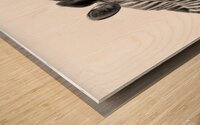 Funny Zebra Wood print