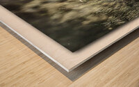 Spirit of the Pond Wood print