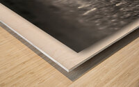 A Gentle Glide Wood print